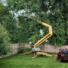 Professional Tree Removal in Skyline Ganipa, NM