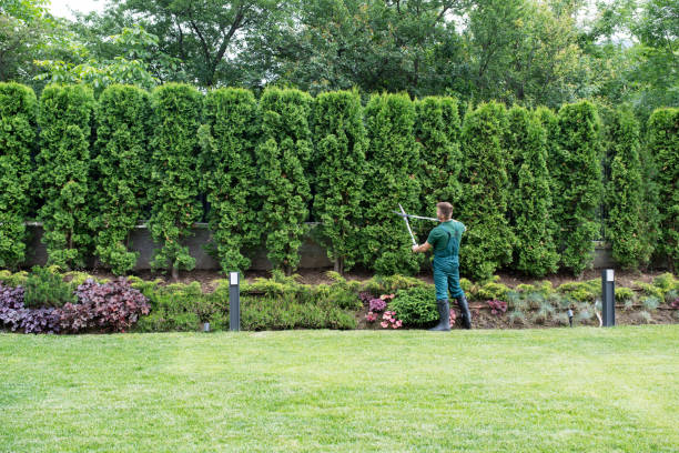 Best Aeration Services  in Skyline Ganipa, NM