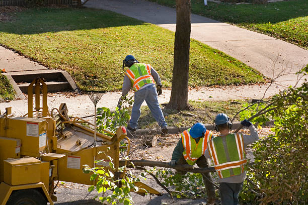 Best Lawn Irrigation Installation and Maintenance  in Skyline Ganipa, NM